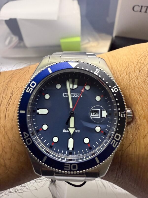 Citizen Ecodrive Diver