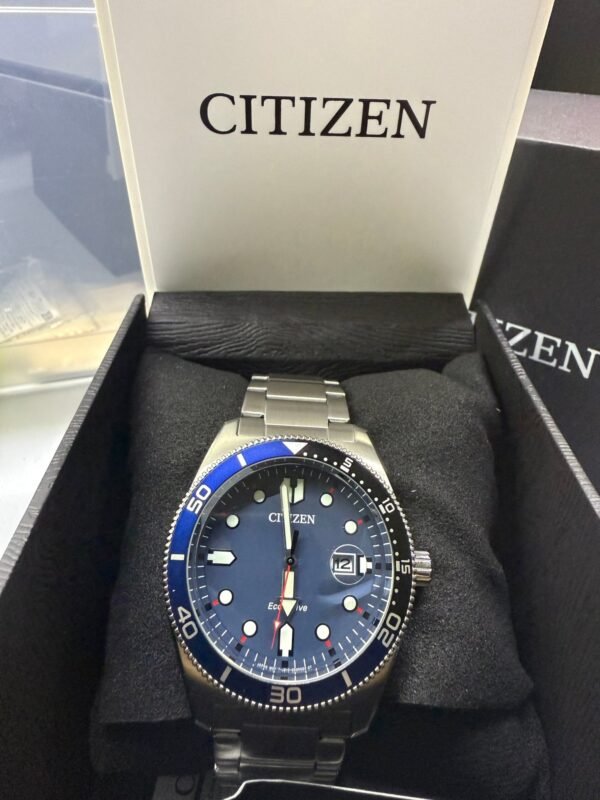 Citizen Ecodrive Diver
